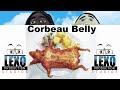 Corbeau belly