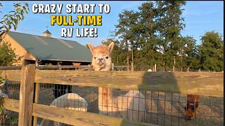 We Stayed the Night at an Alpaca Farm!