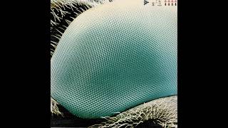 Boom Boom Satellites – Fogbound