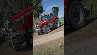 Mey Ferguson 7714S & Krone Easy Cut