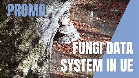 JoNeF - Interview with Eric Boa - European data system