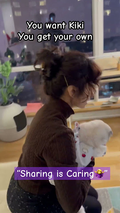 I don’t share Kiki with anyone 🔪 #kikicutekitty #possesive #sharing #love #itsmine #relatable #fyp