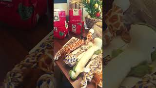 Christmas Gifts For Stray Dogs