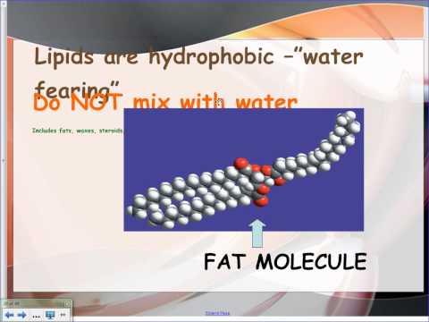 Biochemistry of Cells