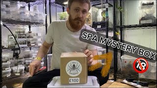 BTS pick ups and Spa spiders Mystery box!