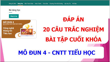 Đáp án bài tập cuối khóa Mô đun 4 - CNTT Tiểu học