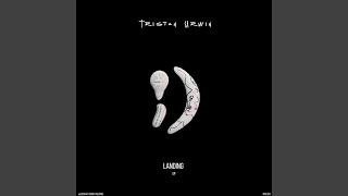 Landing (Extended Mix)