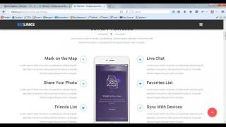 Bizlinks Features Section Overview How To Editupdate
