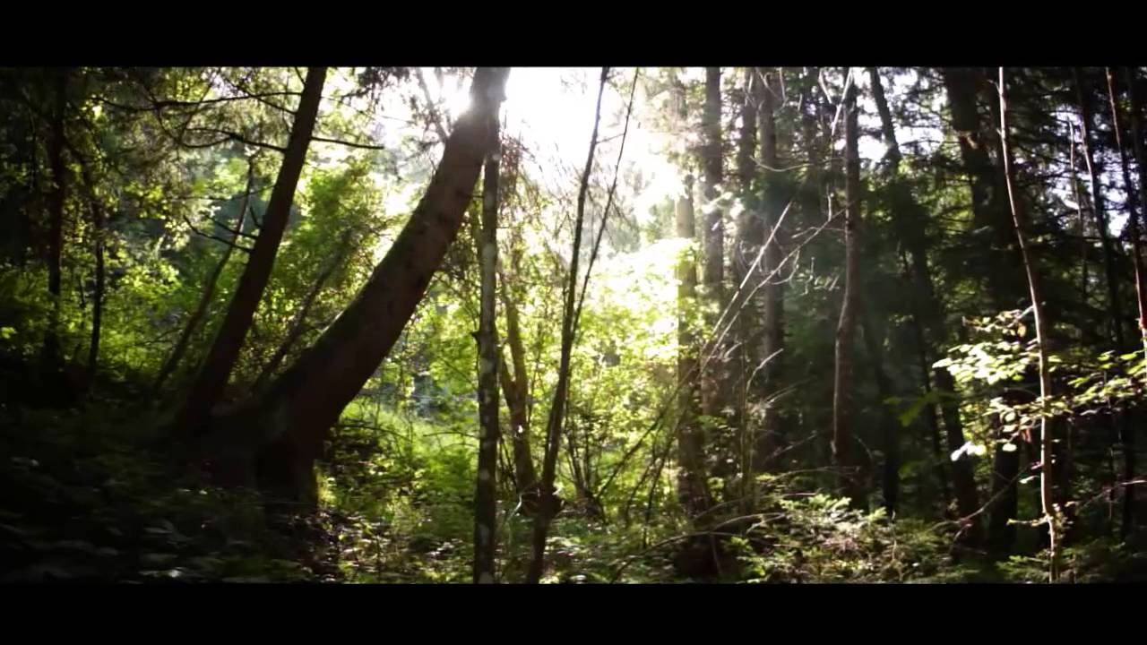 Magic Forest Cire Travellingpvc Youtube