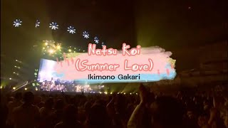 Natsu Koi - Ikimono Gakari Live + English Translations