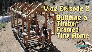 Raising the Tiny: Vlog Episode 2