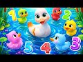 Five little ducks went out one day | Counting ducks for Toddler learning | nursery rhymes for babies