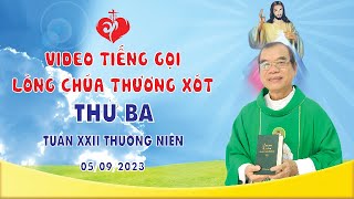 VIDEO | Tiếng Gọi Lòng Chúa Thương Xót | Thứ Ba Tuần XXII Thường Niên | 05\/09\/2023