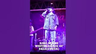 RINO NORES - Whiter Shade Of Pale ( Procol Harum Cover)