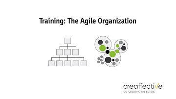 Training - The Agile Organization