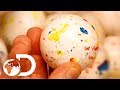 Download JAWBREAKERS | How It's Made JAWBREAKERS | How It's Made