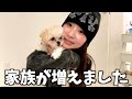 新しく家族が増えました!!!