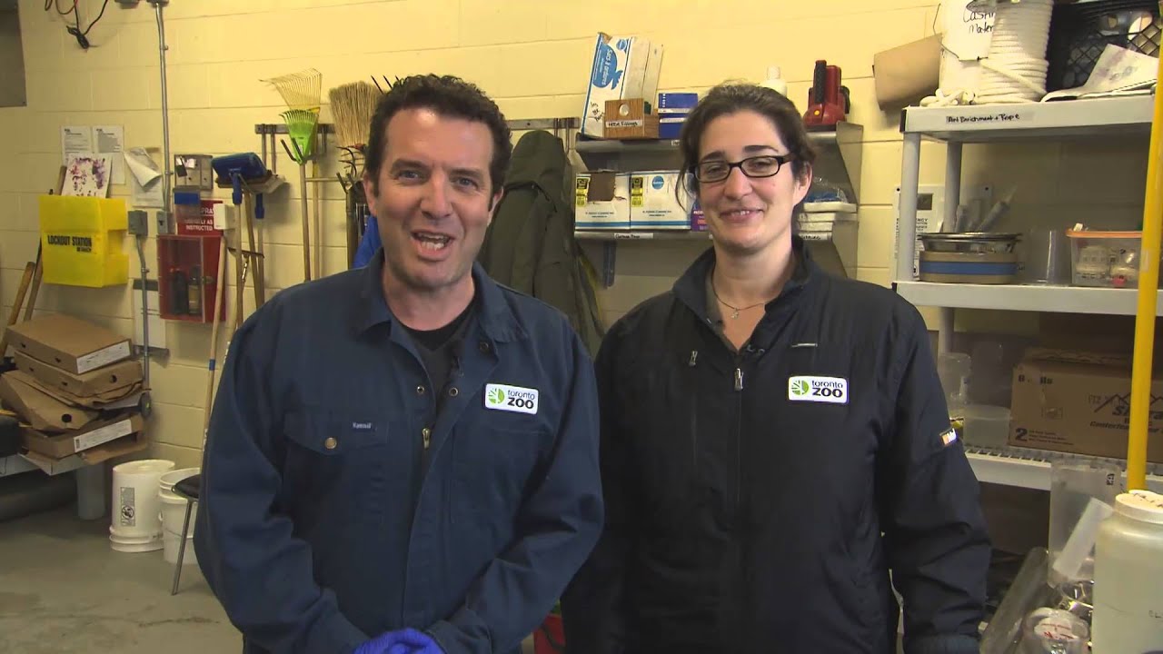 Rick and Juno the Polar Bear Cub
