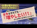 【金魚】水槽はいっぱいだけど、もう1匹増やしたい！！