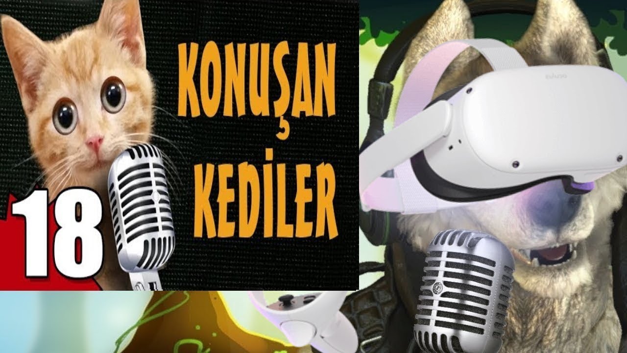 Killtec Konusan Kediler 18 VR izliyor! YouTube