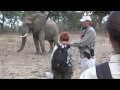 Megs encounter with elephant AA085001