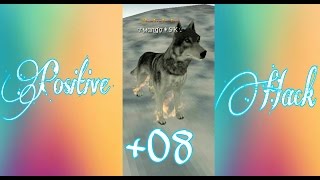 +08 Pos Code {ROOT} [READ DESC.]