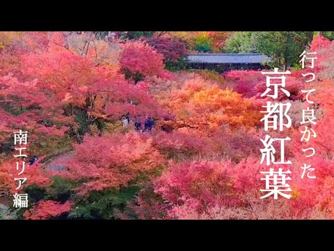 【京都紅葉名所】行って良かった紅葉名所 南エリア編/東福寺/勝林寺/清水寺ライトアップ
