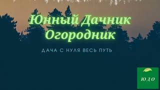 Как мы купили первую дачу . С чем столкнулись .