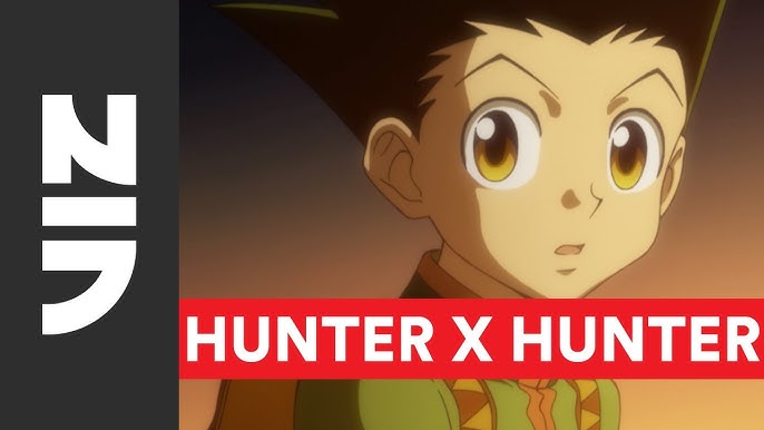 Hunter x Hunter 1999 - Official DVD Cover Art