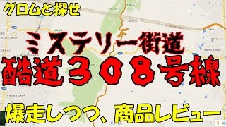 【グロムと】ミステリー街道　酷道308号線　商品レビューのおまけ付き【探せ！】