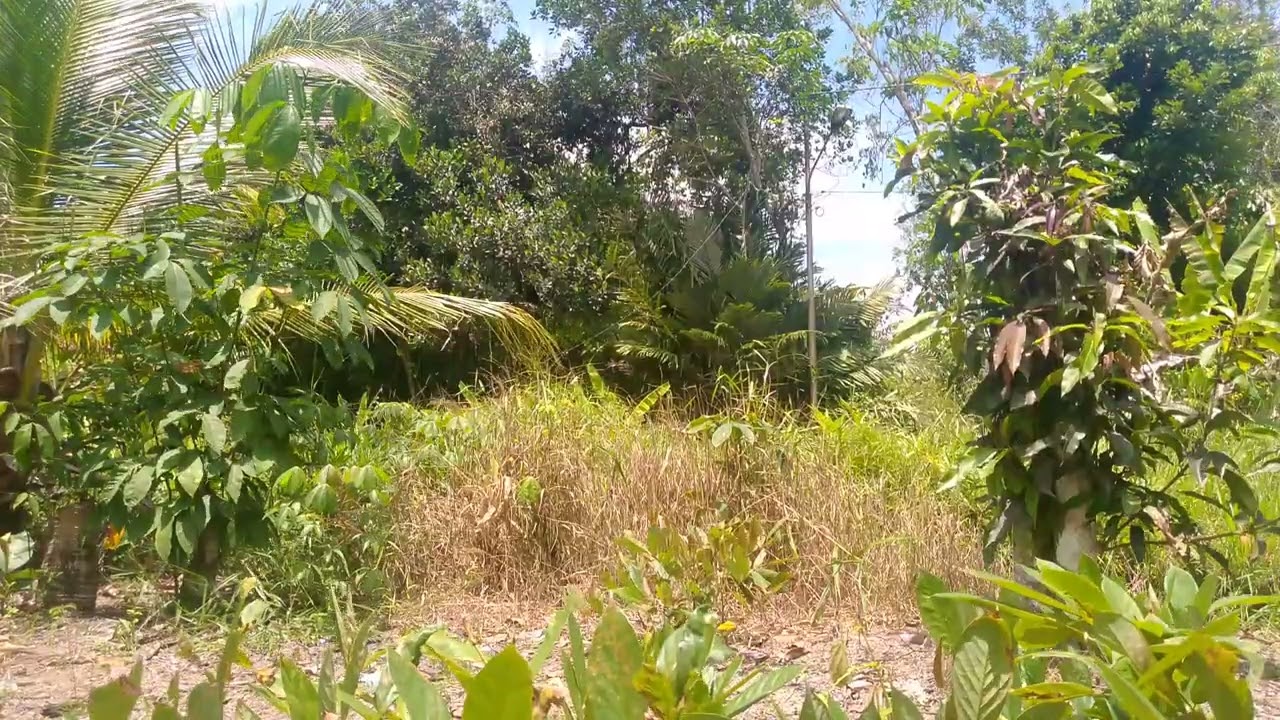 Jumat Berkah | Suasana di Kampung Depan Rumah 
