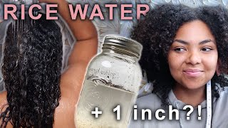 I Tried Rice Water On My Curly Hair For 1 Month | Results & Experience