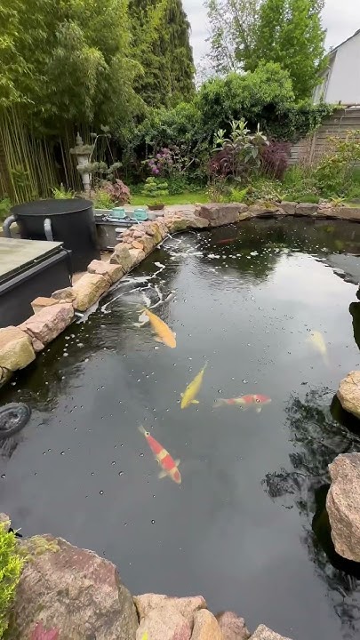 Schaut euch Thomas neuen Koi Teich auf meinem YouTube Kanal an 🥰👌 YouTube