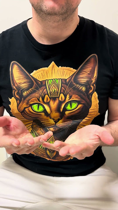 Pim-Pam-Pum Cat 😺