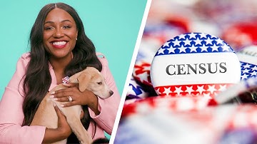 The 2020 Census Explained By Puppies And Kittens // Presented by BuzzFeed and the U.S. Census Bureau