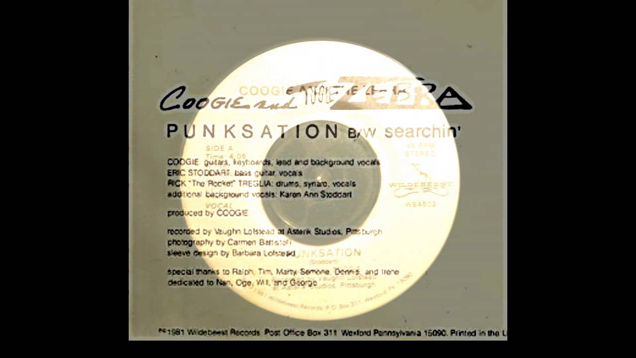 COOGIE AND THE ZEBRA - Punksation (USED 7