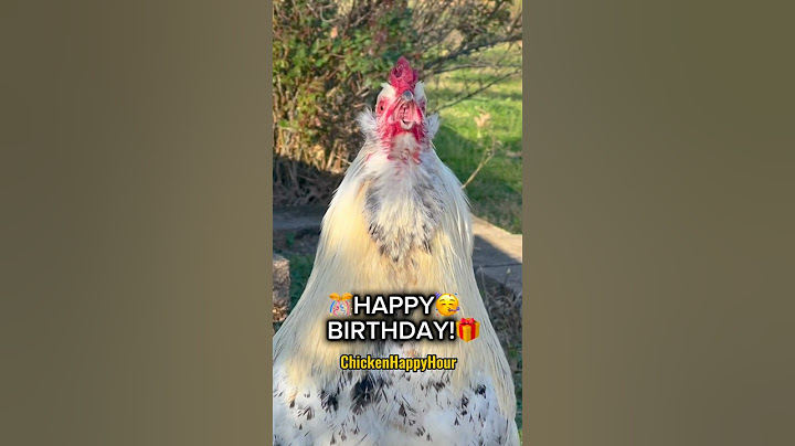 HAPPY BIRTHDAY! 🐔🎉🥳 #happybirthday #birthday #rooster #chicken #funnymemes #chickenhappyhour