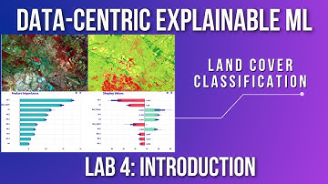 Data centric Explainable ML Tutorial 8: Lab 4  Introduction