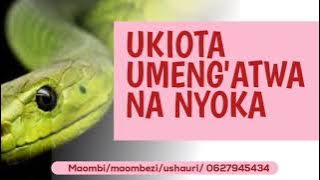 NDOTO YA KUNG'ATWA NA NYOKA || FANYA HIVI