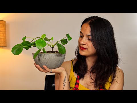 DIY Concrete Planter in Plastic Bowls