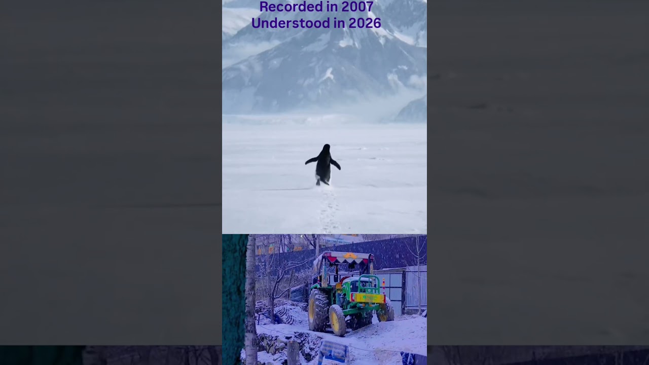 but why penguin🐧rip💔💯