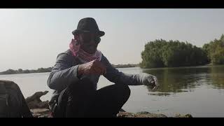 MANCING MONSTER LELE JUMBO DI PADANG PASIR SAUDI ARABIA