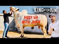 Meet up with JNTV || King in the Field of Bulls🐮🐄🐂 2024