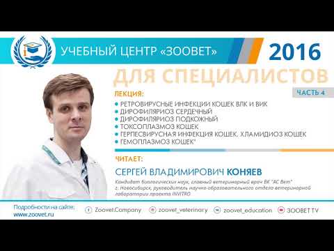 Коняев С. В. в УЦ «Зоовет» | Инфекционные заболевания кошек, ч.4