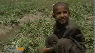 Voice Actor Arian Risbaf Iranshahr Music Video