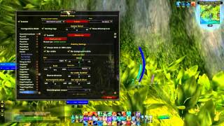 IceHUD Healing/DPS Rotation Management Tutorial
