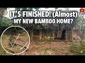 CEO Left the City: Built a Small Bamboo House for a Peaceful Life in the Countryside