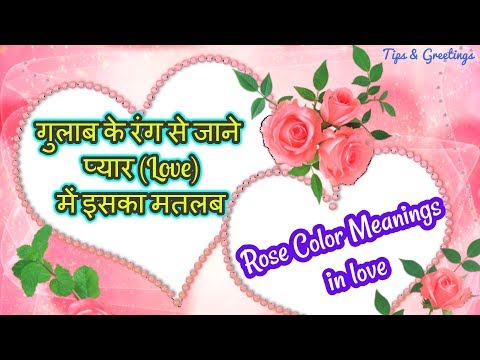 Rose Color Meanings In Love