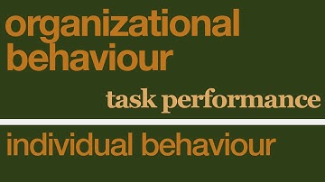 Organizational Behavior - Individual Behaviour and Task Performance