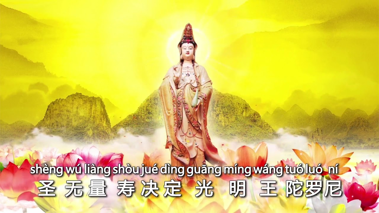 《圣无量寿决定光明王陀罗尼》经文念诵合集 慢速教念视频清晰版